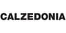 Calzedonia logo