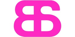 Bernessi logo